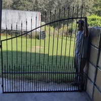 Conception de porte en fer forgé de sécurité en métal principal d'entrée de maison en gros