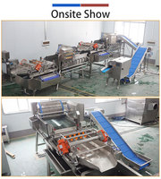 Machine de lavage Vortex 3T/H pour chou coréen, laitue, épinards, feuilles de thé, laitue biologique, poivron Dyal, pour usine de transformation de légumes