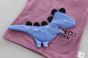 Conjunto de Ropa para Niño con Diseño de Dinosaurio, Sudadera y Camiseta para Clima Cálido, Conjuntos de Ropa para Bebés - Product Image 5