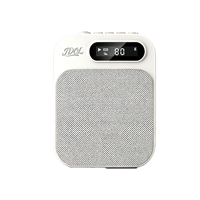 Système de microphone sans fil professionnel, amplificateur vocal Bluetooth, haut-parleur portable 5W/10W 2000mAh, lecteur USB magnétique pour réunions et karaoké