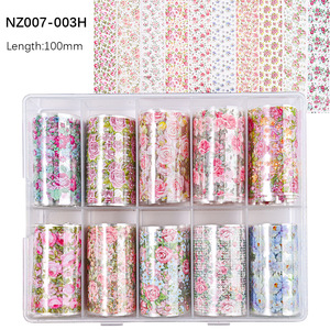 10 Rollos/Caja de Adhesivos Decorativos para Uñas Estilo Japonés, Juego de Adhesivos de Transferencia con Diseño de Cielo, 100x4cm, Lámina Dorada y Plateada para Uñas - Product Image 4
