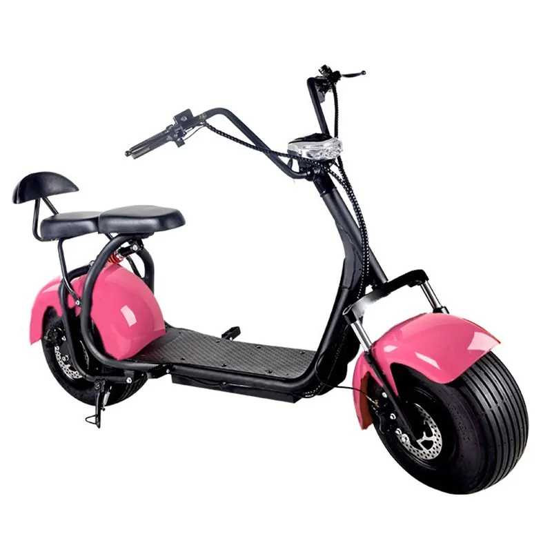 Elektrische Scooter 2 Wielen Dikke Band 1000W 40-60 Km/h Brede Band Fiets Stad Sport E Motorfiets