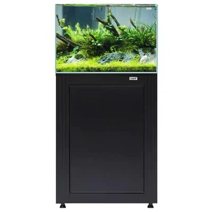 Aquarium écologique en verre ultra-blanc, réservoir de poissons, haute pureté, traitement pas cher, réservoir à graminées, salon, micro-corail - Product Image 3