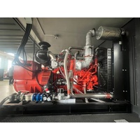 Générateur de courant à gaz domestique à fonctionnement continu écologique 40 kW 60 kW 200 kW 300 kW 400 kW