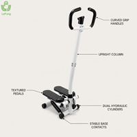 Steppeur hydraulique compact avec poignée et écran LCD pour la remise en forme à domicile, assortiment pour la vente au détail et en ligne
