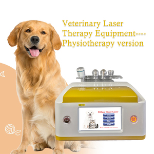 Dispositivo de Fisioterapia de 980nm para Perros y Gatos, Tratamiento Profesional de Artritis y Tendinitis en Animales - Product Image 4