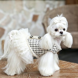 Vestido para Perro Pequeño, Estilo Princesa, Falda de Encaje para Mascotas, Ropa Transpirable de Verano para Perros, para <span class=keywords><strong>Chihuahua</strong></span> y Pomerania - Product Image 2