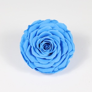 Nouvelle Collection 2021 Grande Rose Fraîche Conservée de 9-10 cm Qualité A Vente en Gros Durée de Conservation de 5 Ans - Product Image 6