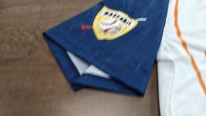 2025 maillot de Baseball pour jeunes Logo brodé personnalisé bouton en maille à fines rayures respirant Sublimation exposé expositions de Softball - Product Image 4