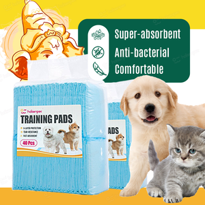 Suministro directo de fábrica Muestras gratis Súper absorbente Desechable Fácil limpieza Entrenamiento de mascotas Almohadillas para orinar para perros - Product Image 1