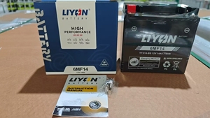 <span class=keywords><strong>Batterie</strong></span> de démarrage haute performance pour <span class=keywords><strong>moto</strong></span> 12V14Ah pour <span class=keywords><strong>YTX14</strong></span> Prix de gros d'usine Marque LIYON - Product Image 5