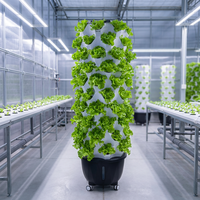 Tour d'irrigation verticale hydroponique en gros pour jardin intérieur, système de culture intelligent, serre, tour à ananas
