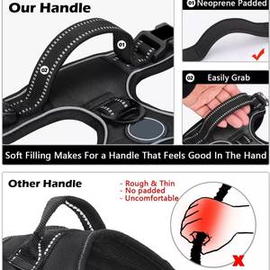 Individuelles Set mit Sicherheitsgurt, Faltnäpfen, Kotbeutelspender, Hundehalsband, Leine und Geschirr mit Messingbeschlägen für das Hundetraining - Product Image 6