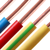 Cable Eléctrico de Cobre Puro de un Solo Núcleo Aislado en PVC, Calibre Personalizado, Venta al Por Mayor Directo de Fábrica