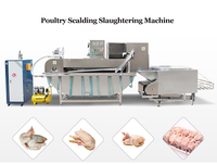 Machine d'échaudage et de plumage de volailles pour poulets, canards et oies, petite ligne d'abattage de poulets