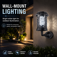Lampe Solaire Anti-Moustiques Haute Efficacité pour Jardin Extérieur, Destructeur d'Insectes Électrique LED Étanche UV pour Patio et Cour