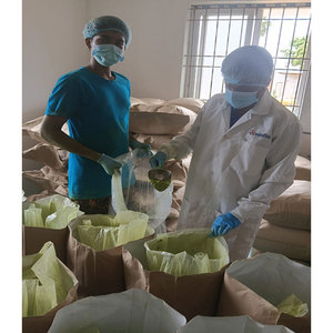 Poudre de feuilles de Moringa biologique de haute qualité Énergie verte naturelle et soutien nutritionnel - Product Image 2