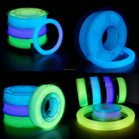 Poudre luminescente d'aluminate de strontium de longue durée Pigment néon à haute luminosité lueur dans le Pigment foncé pour le moulage en plastique