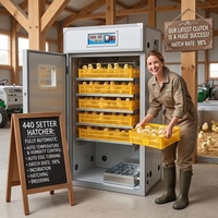Incubateur et éclosoir automatique pour 440 œufs de poulet