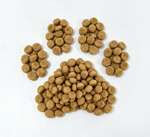 Dry Dog Food 22p Puppy High Nutrition Bulk Supply Pet Food Private Brand Service Low MOQ