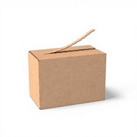 Cajas de Envío de Cartón Corrugado con Cierre, Diseño Personalizado de Lujo, Impresión a Todo Color, Materiales Reciclados, Tira Desprendible