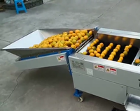 Mini Elektronische Fruit Mandarijn Oranje Apple Size Sorteren Grading Machines In India