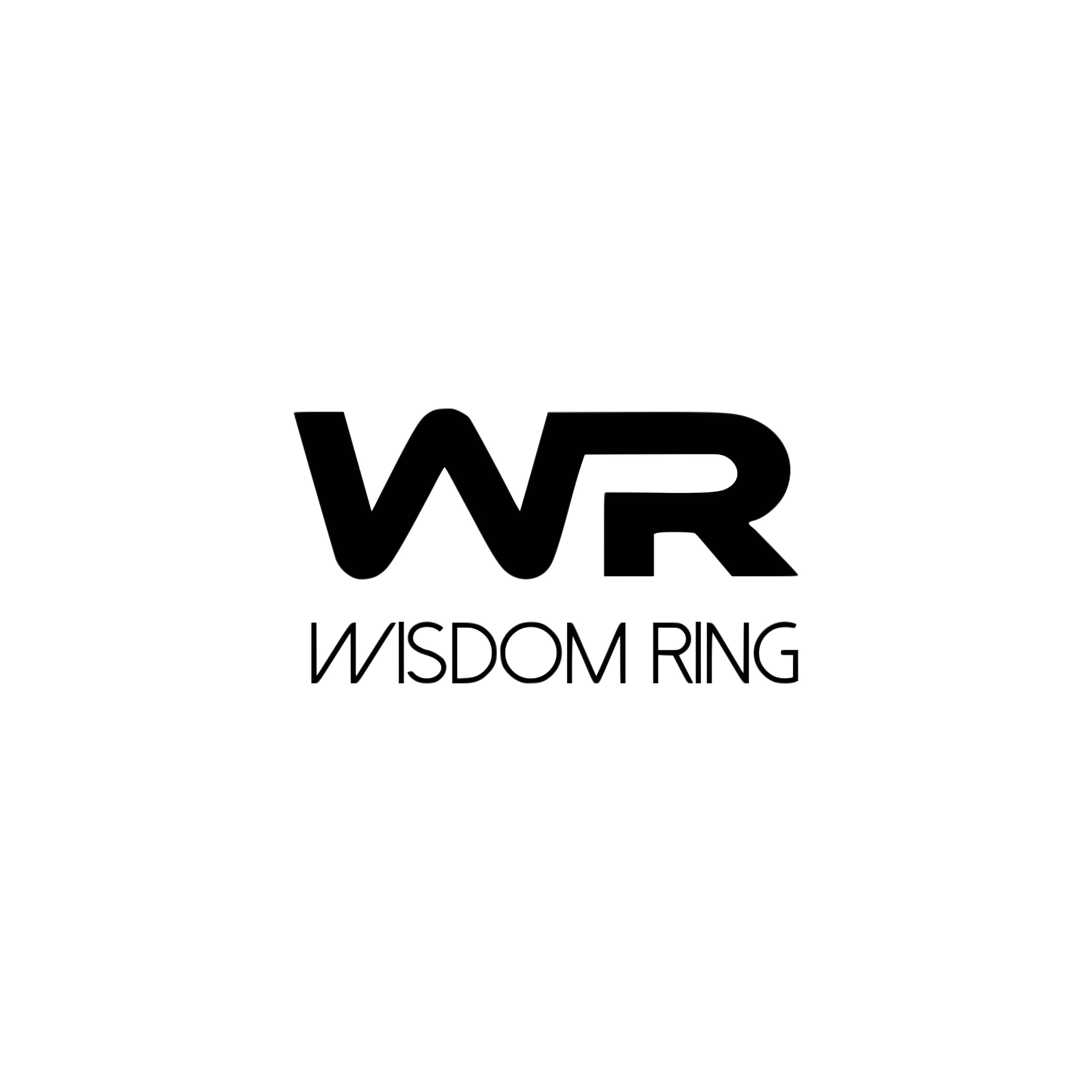 Xi'an Wisdom Ring Machinery Co., Ltd. logo