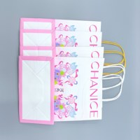 Sac en papier brun biodégradable personnalisé et écologique pour la livraison rapide de repas, avec lamination et corde en coton, pour l'emballage de plats à emporter des restaurants