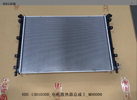 Radiador de Refrigeración del Motor para BYD Dolphin Edición Honor 2025, HDE-1301030B, Alta Calidad