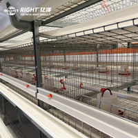 Système de cages en batterie automatiques pour poulets de type H à 4 niveaux, capacité 20 000 oiseaux, galvanisé à chaud avec collecte automatique des œufs, à vendre