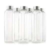 Bouteille d'Eau Sous Zéro 16 oz, en Verre, Anti-fuite avec Bouchon en Acier Inoxydable – Prix Usine