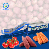 OCEAN Volledig Automatische Meloen- en Notengrootte Sorteermachine Avocado Cherry Tomatengrootte Sorteermachine Prijs