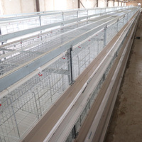 Cage d'élevage de poulet de couche de collecte d'oeufs de type H automatique de haute qualité avec garantie de satisfaction à distance en gros