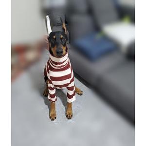 <span class=keywords><strong>Ropa</strong></span> para mascotas, camisa de fondo, suéter de dos piernas, Whippet <span class=keywords><strong>Doberman</strong></span> Pinscher, <span class=keywords><strong>ropa</strong></span> para perros a rayas - Product Image 3