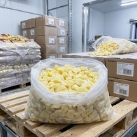 Vente en gros de dés de pommes de terre surgelées IQF sans résidus de pesticides, conformes aux exigences strictes de sécurité alimentaire