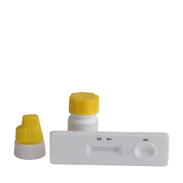 Kit de prueba rápida de anticuerpos de Leptospira canina para perros, kit de prueba rápida de Leptospira para perros, kit de prueba veterinaria Para perros mascotas