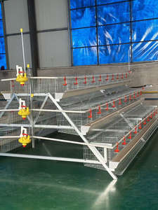 Jaula para Pollos Galvanizada por Inmersión en Caliente de Fábrica, 3 Niveles, 120 Pollos - Product Image 4