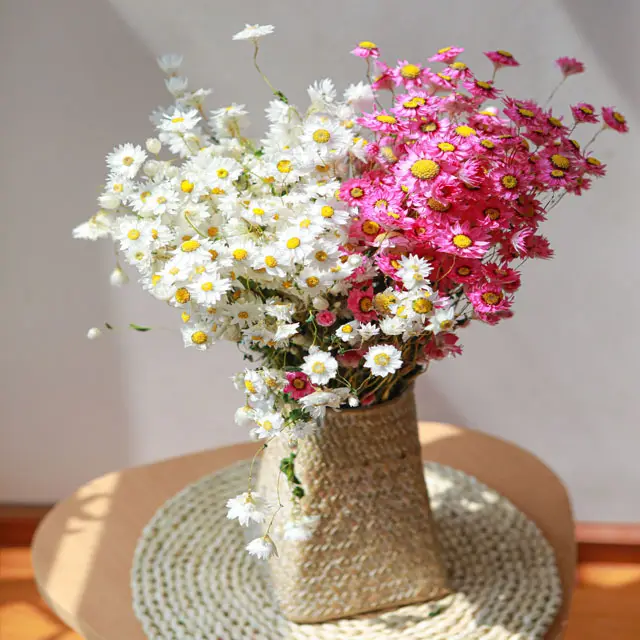 Wholesale Artificial Little Daisy Flowers Straw Chrysanthemums Flowers Natural Rudan Bird Dried Daisies for Boho decor
