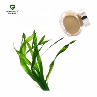 Extracto de Algas Wakame en Polvo 85% Fucoidan Laminaria Japonica para el Apoyo Inmunológico