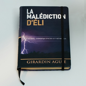 ขายตรงจากโรงงาน สมุดบันทึกไดอารี่ดีไซน์ใหม่ A4/A5/A6 ปกหนัง PU เย็บเข้าเล่ม ปกแข็ง ขอบทองลายนูน - Product Image 4