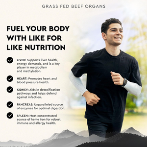 Complément d'organes de bœuf nourri à l'herbe pour le bien-être général du corps : Foie, Cœur, Reins, Pancréas, Rate – Bœuf lyophilisé – 180 capsules - Product Image 3