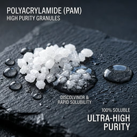 PAM 9003-05-8 Prix Abordable 100% Pureté Flocculant Polyacrylamide en Poudre CATIONIQUE Traitement des Eaux Usées Fracturation des Boues