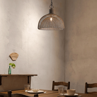 Lustre industriel rétro en fer forgé, cage à oiseaux ovale E12, LED à économie d'énergie, hauteur réglable, petite lampe suspendue pour restaurant et bar