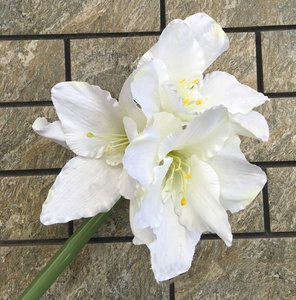 Orquídeas artificiales de seda, A-523, plantas de Clivia, color blanco - Product Image 5