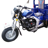 Moto à essence 150cc Tricycle cargo à trois roues Boîte de vitesses automatique Moto cargo