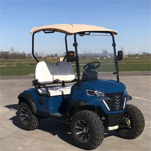 Couleur personnalisée de haute qualité 48V Golf Buggy Electric Club Car Golf Cart Prix à vendre