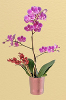 F107SSMML Conjunto de arreglos de tubo floral de lujo Perfecto para Bodas de temporada navideña y decoración del hogar - Product Image 3