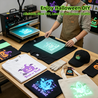Feuille de film DTF luminescent Fcolor pour Halloween, film de transfert thermique PET pour impression DIY sur T-shirt