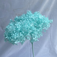 Fleur séchée naturelle de qualité supérieure, Hortensia Anna, toucher réel, cadeau pour la Saint-Valentin, Noël, décoration d'intérieur