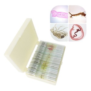 Portaobjetos de microscopio para parásitos, 30 portaatéles por paquete, estándar de educación superior, escuela de medicina, institución de investigación - Product Image 1